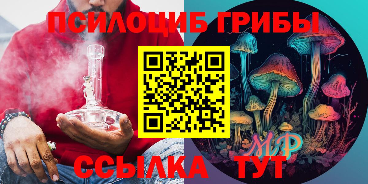 Псилоцибиновые грибы Psilocybine cubensis Артёмовский