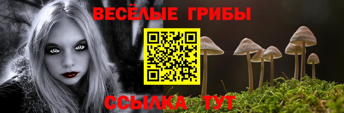 Артёмовский  купить наркотики сайты  Вход с VPN  Галлюциногенные грибы Cubensis 